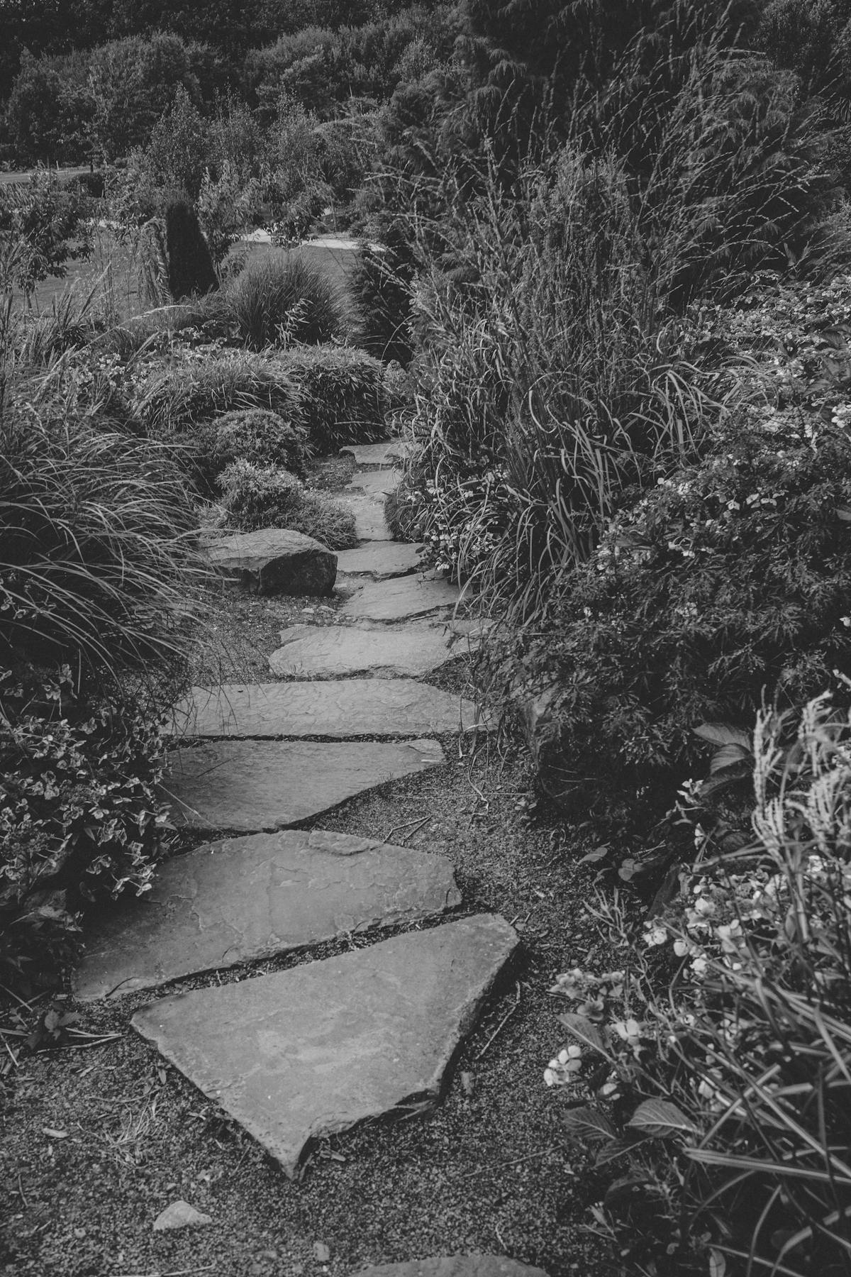 Aménagement paysager en pierre à Tourrette-Levens