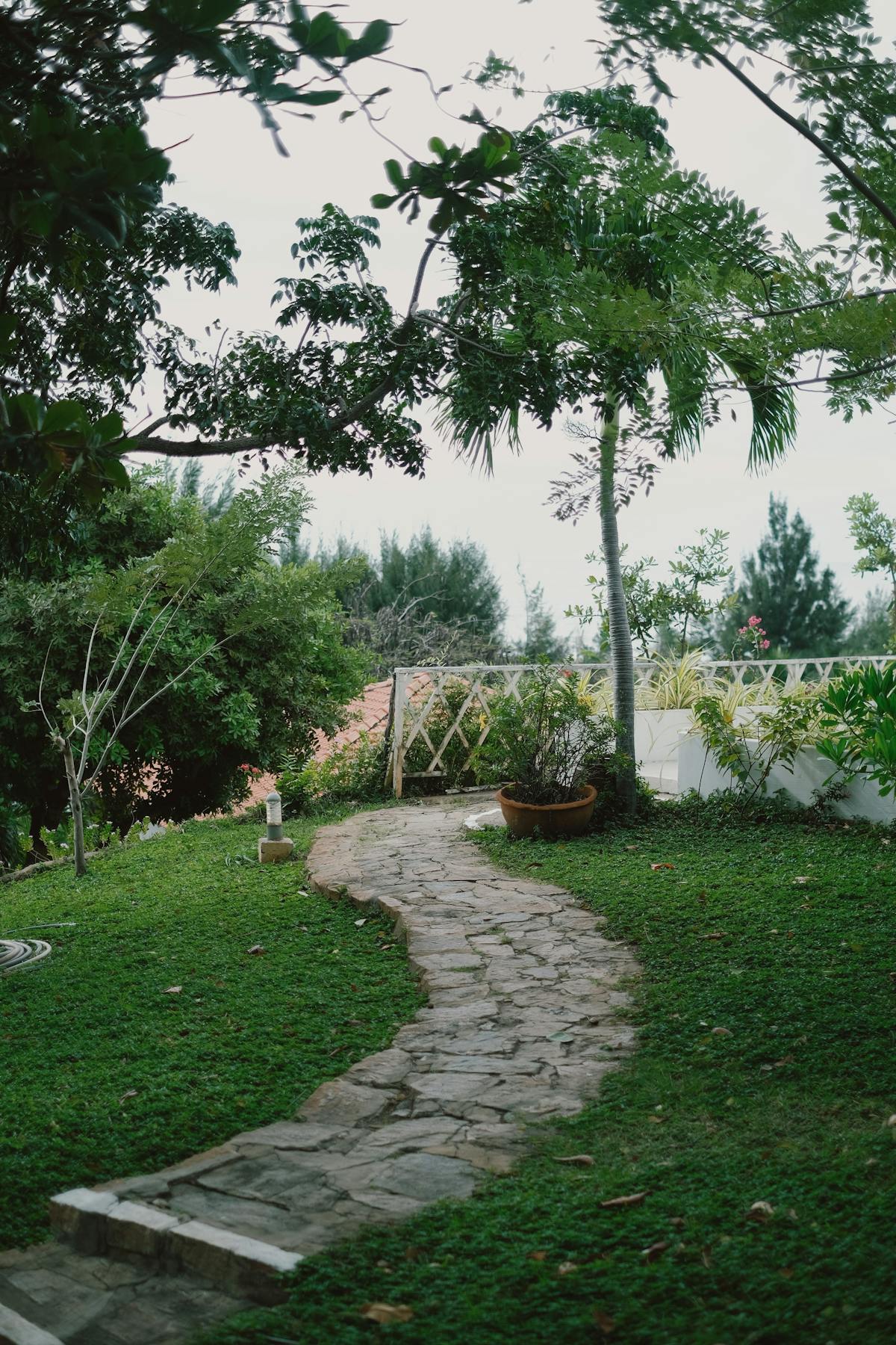 Jardin paysager luxuriant à Tourrette-Levens